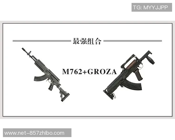 和平精英战术解析：深入了解WE战队的默契配合与战略布局