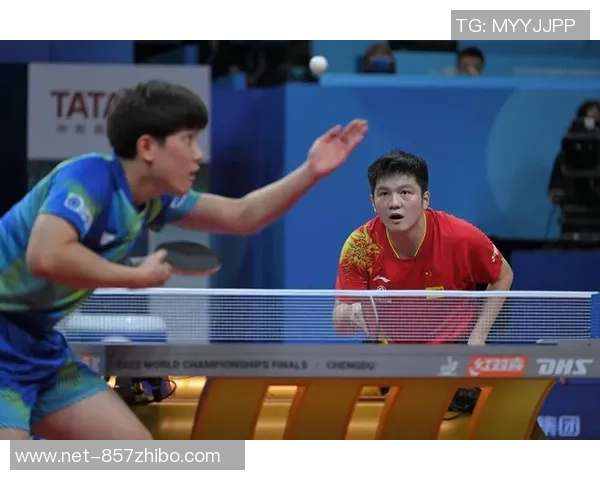 对话乒乓球名将王敏回顾辉煌生涯与未来展望